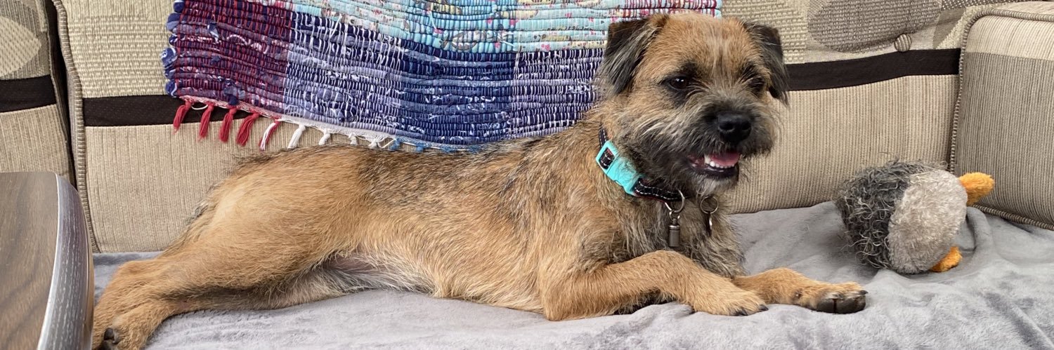 💙🐦Biffy&Bruce (The Boss) banner