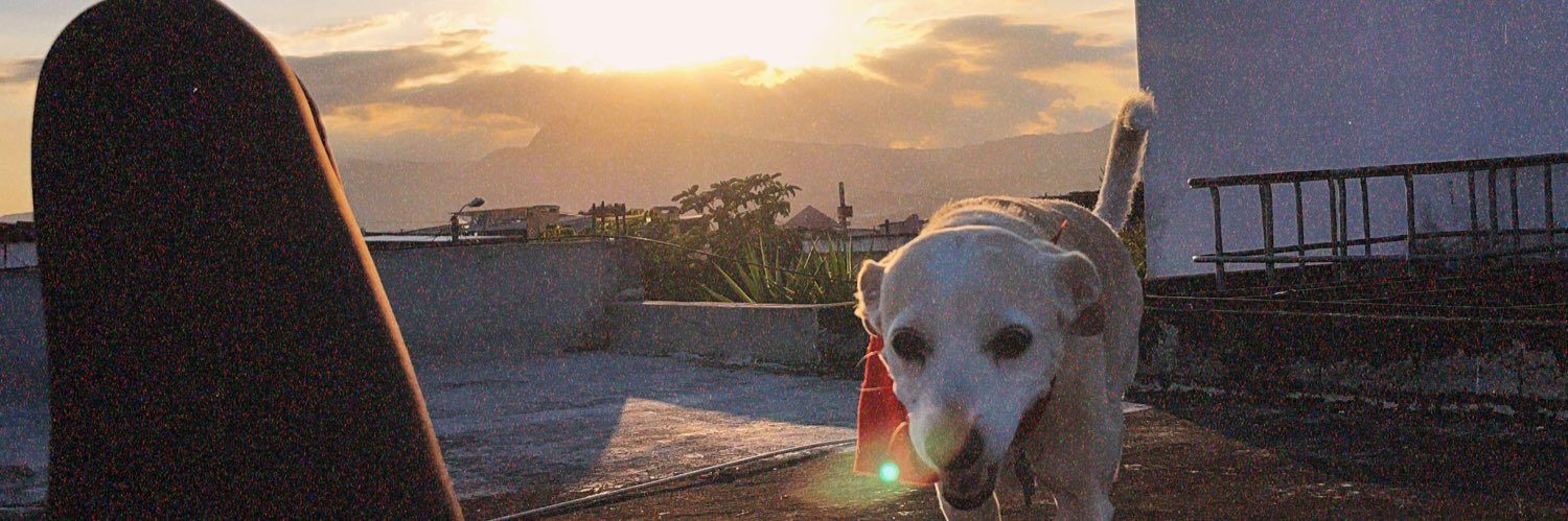 pquee5's profile banner image
