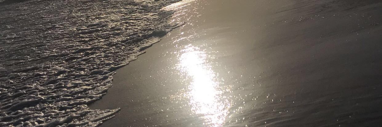 bbygiraffe730's profile banner image