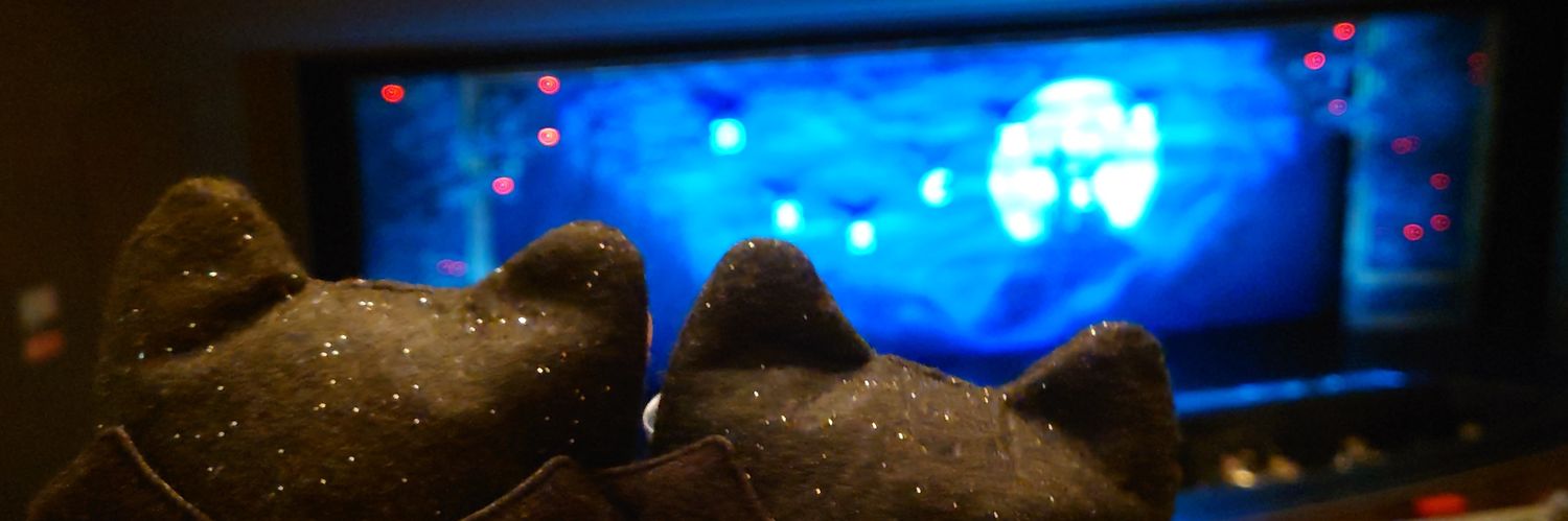 ミノル🍩✩⃝❄️️超越雪祭男子𓂃𓈒 ❅ * banner