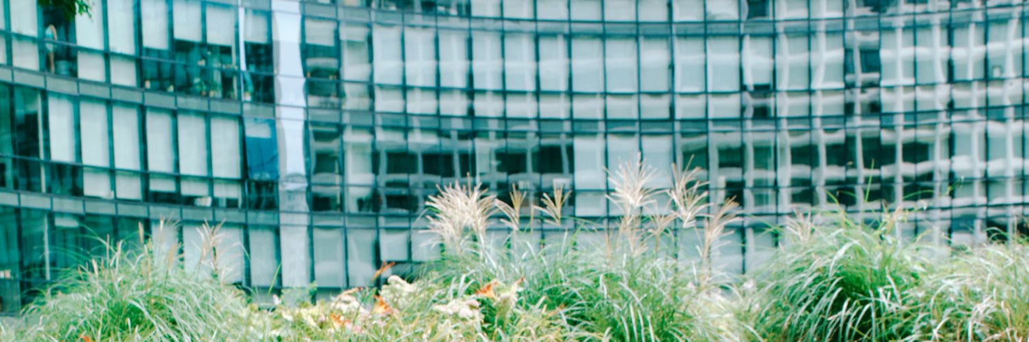RxseSxul's profile banner image