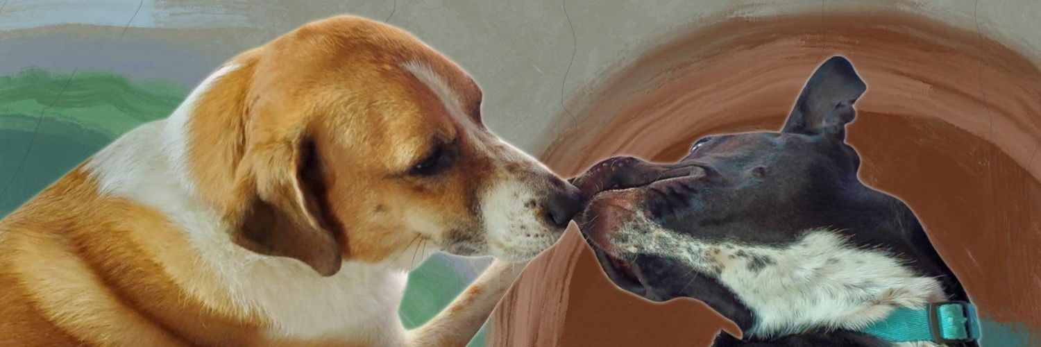 simonsayssing's profile banner image