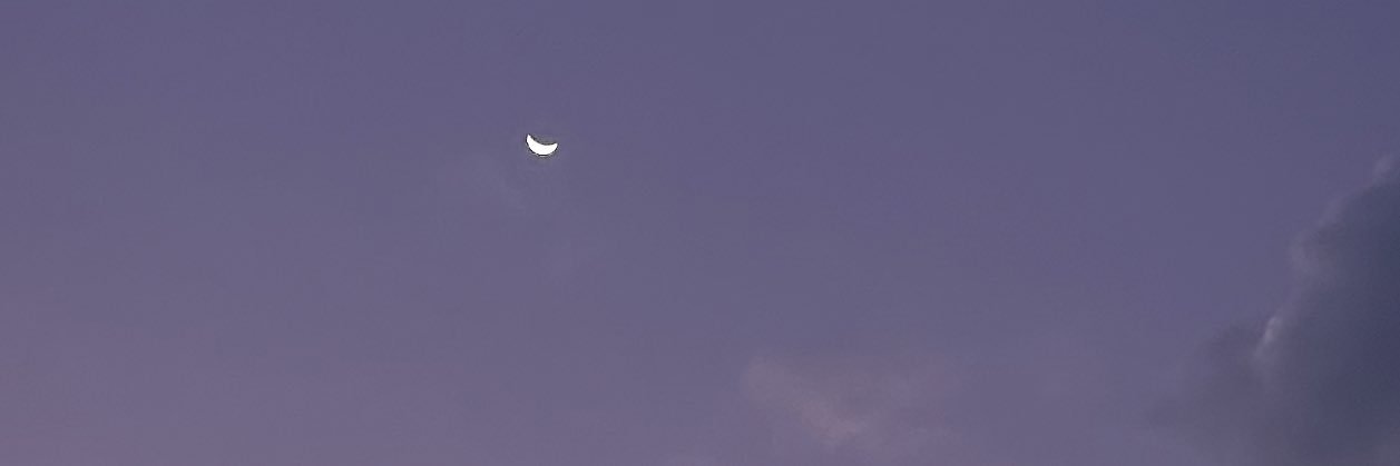 ocsmutt's profile banner image