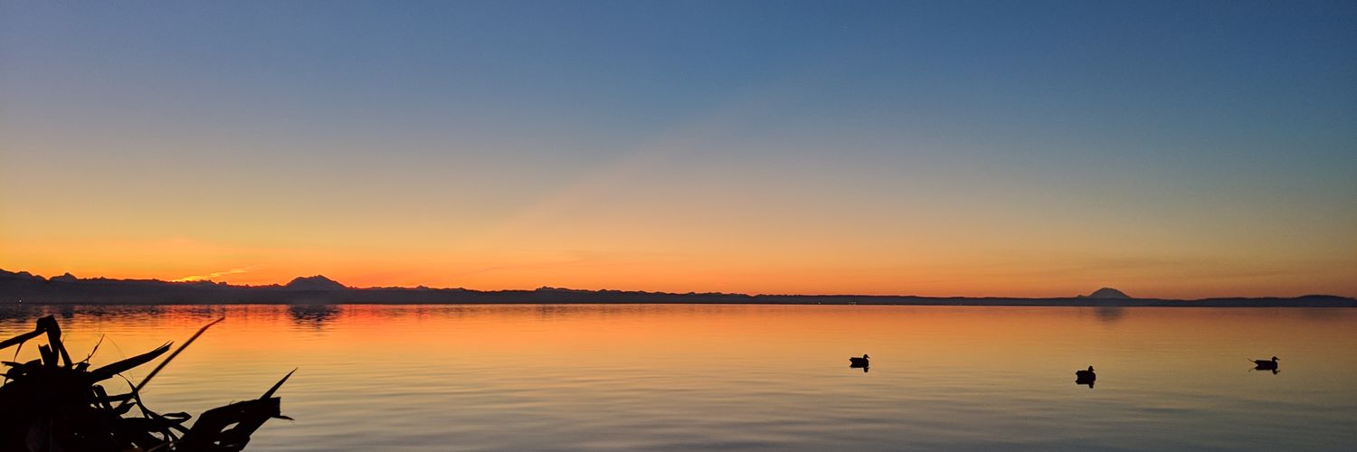 NorthwestTiff's profile banner image