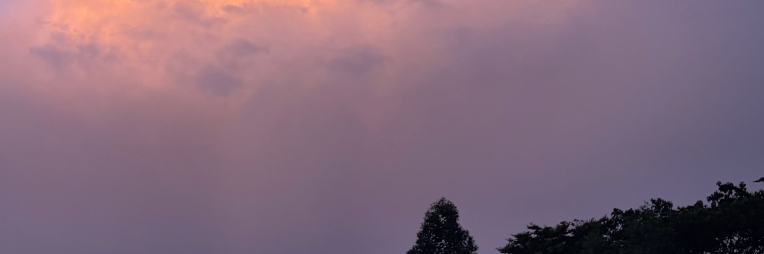 jaodoiny's profile banner image
