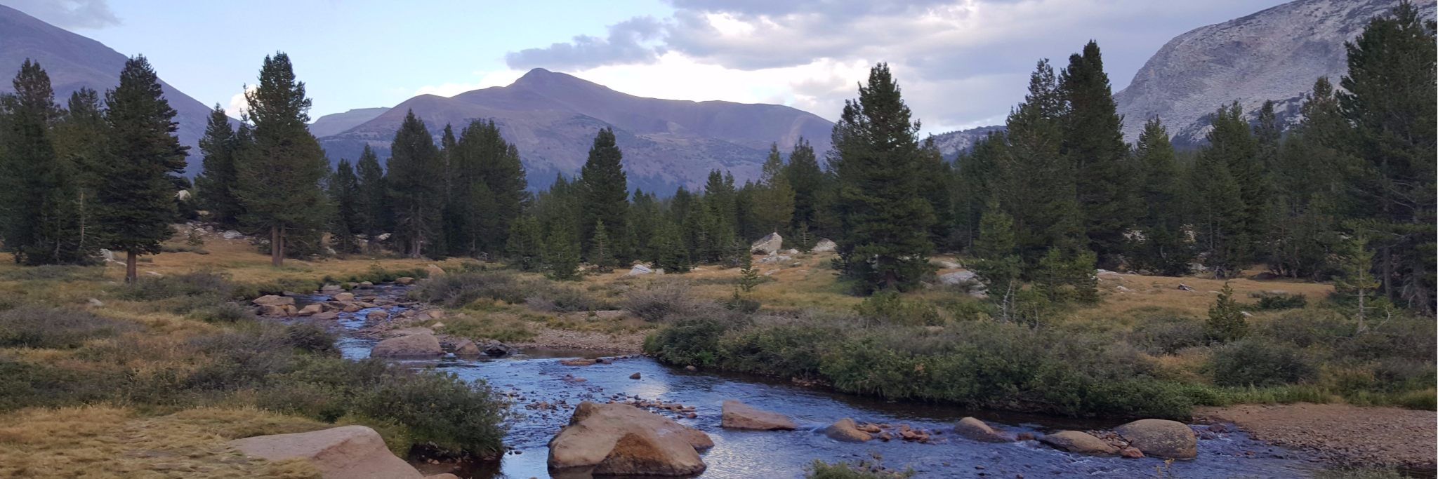 Colleen Bronner (she/hers) banner