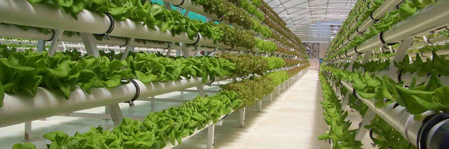 OpenHydroponic's profile banner image
