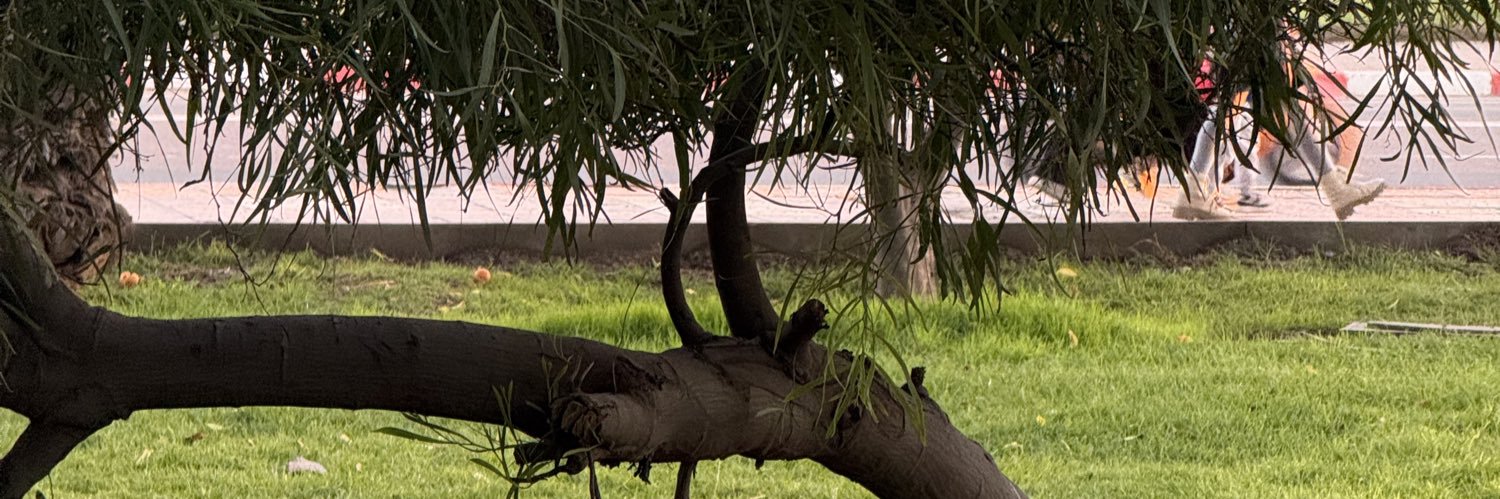 ajaa5555's profile banner image