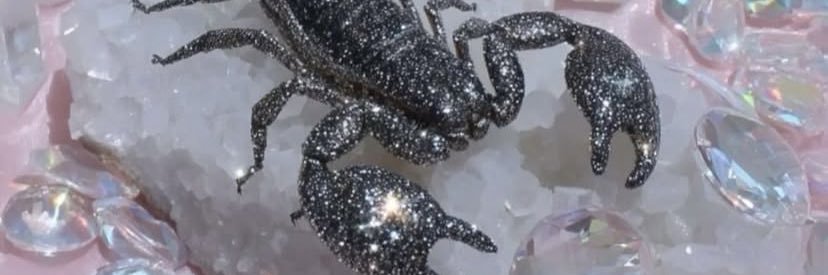 nieceyy__'s profile banner image