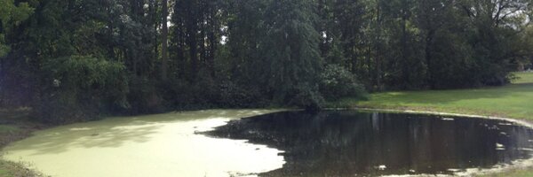 masonslabaugh Profile Banner