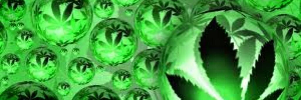 Weed Pictures banner