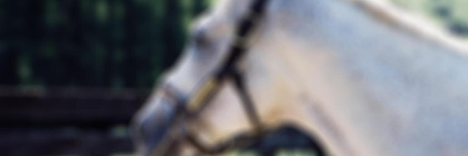 Mejiro-McQueen.com banner