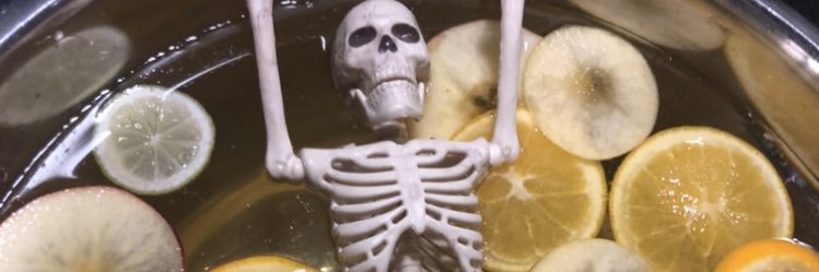 barbietheturtle's profile banner image