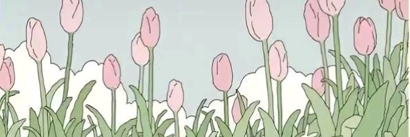 Xbadercy's profile banner image
