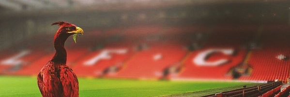 iantudor27's profile banner image