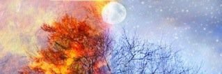lghdickens's profile banner image