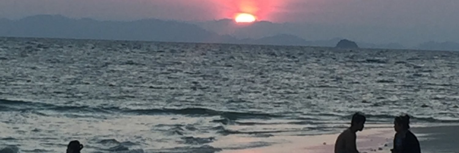 VolcanicAsh84's profile banner image