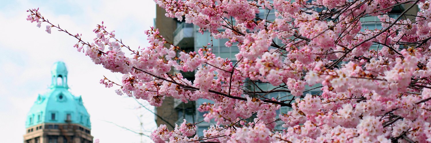 Vancouver Cherry Blossom Festival banner