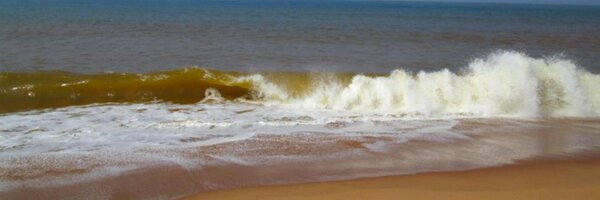 YogeshKumar262 Profile Banner