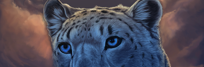 mauidolphin's profile banner image