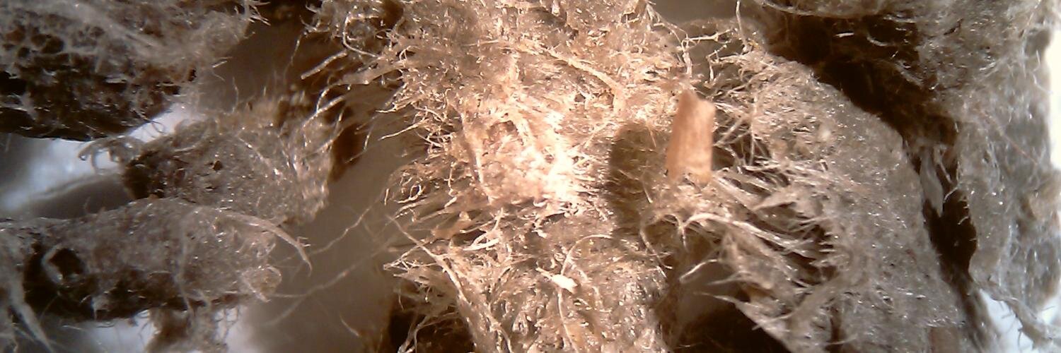 CelluCycle's profile banner image