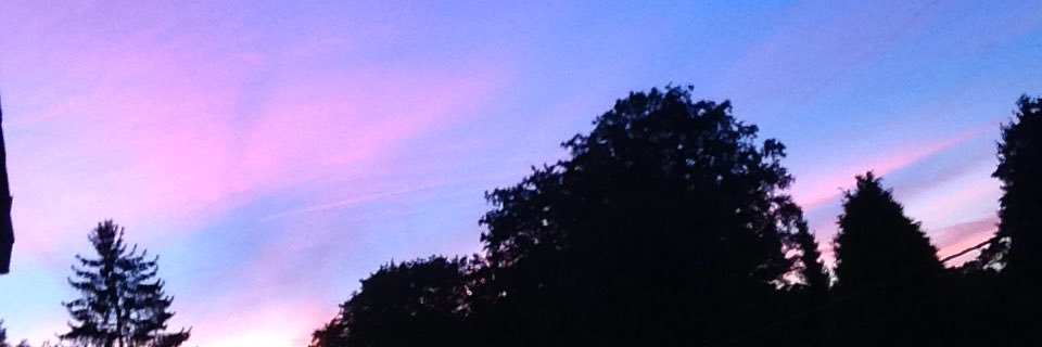 SebMitea's profile banner image