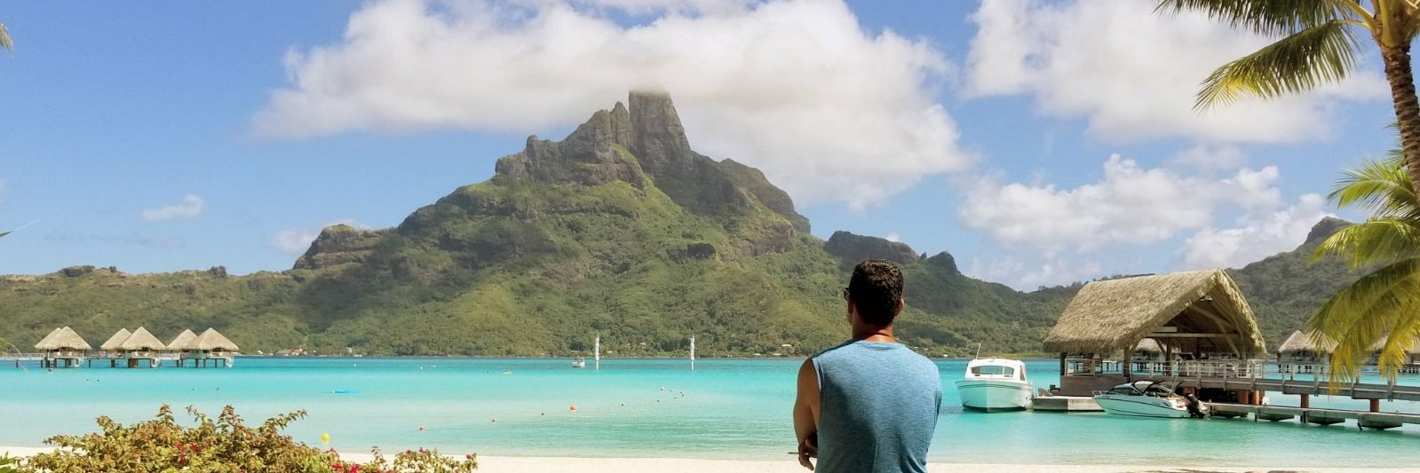 nealelsayed's profile banner image