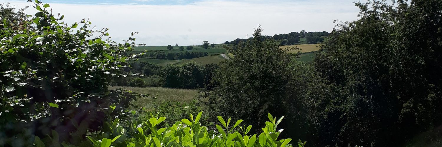 leighbobs's profile banner image