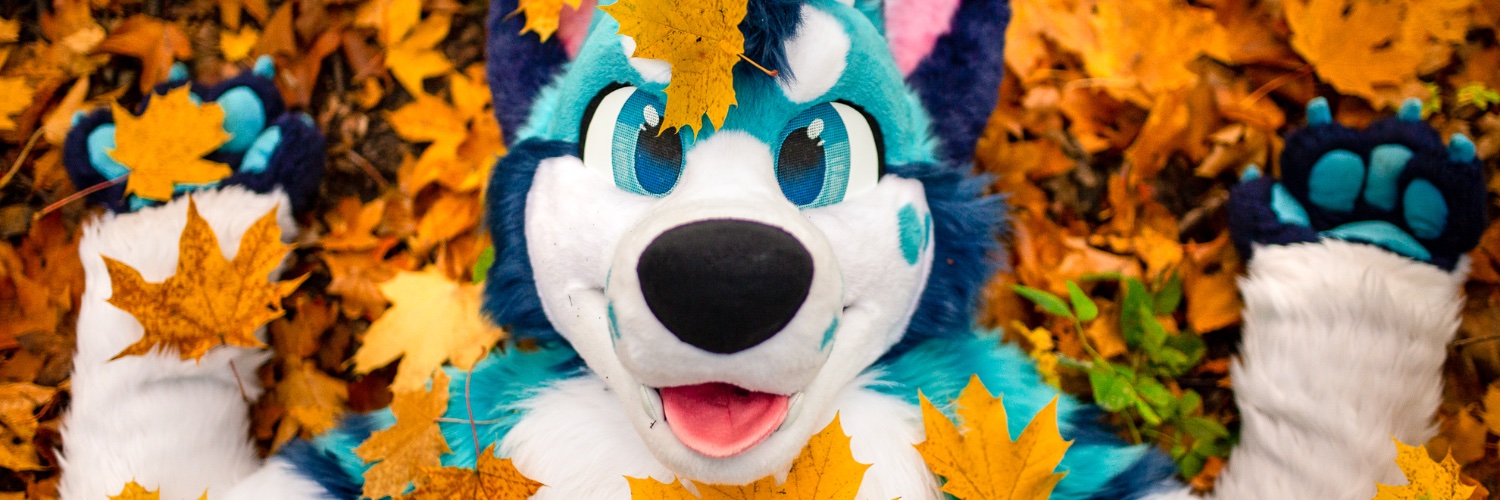 Exi 🔜 CeSFuR, Awoostria banner