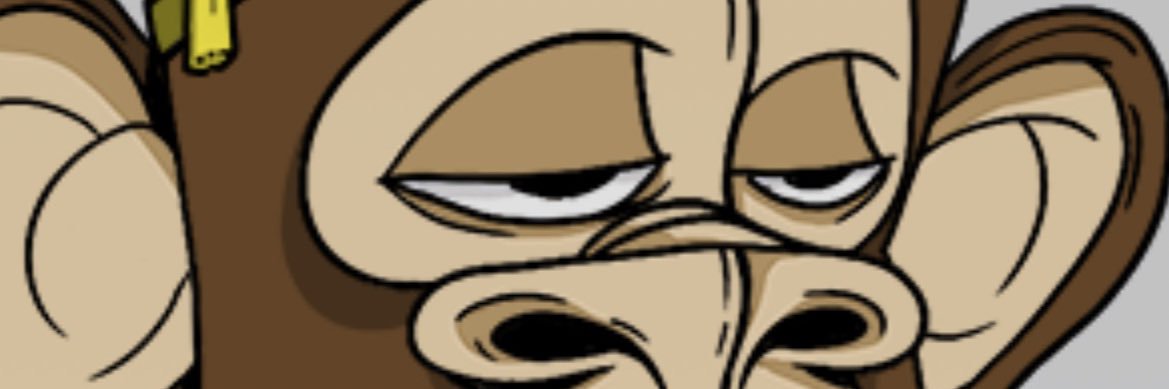 Kestutis Kincinas banner