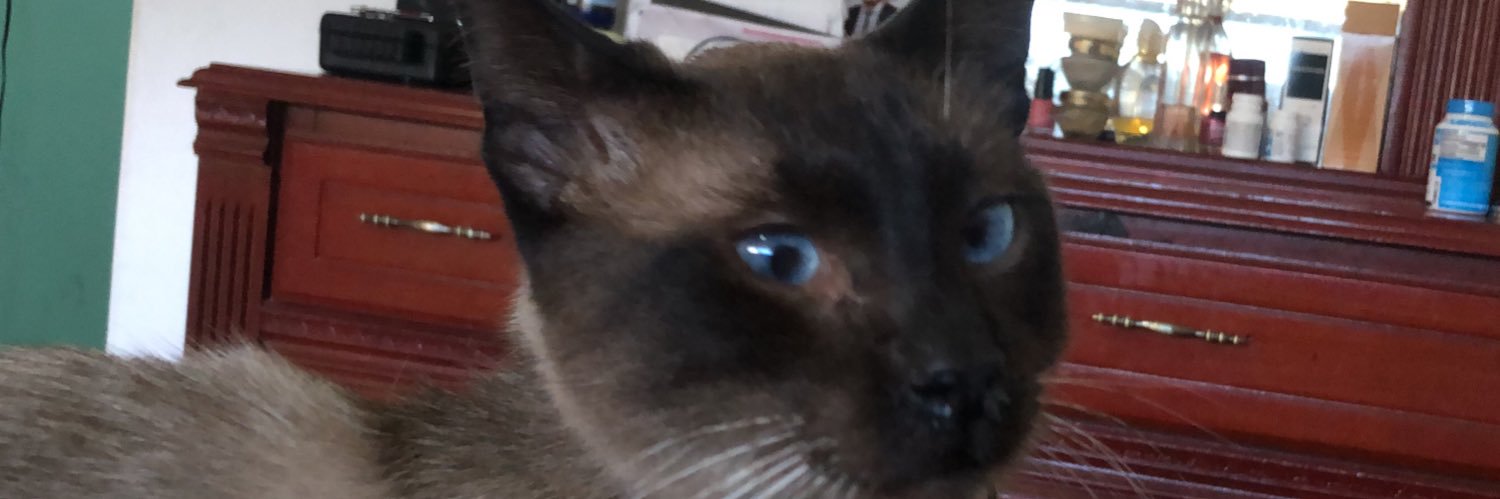 aleMarentes's profile banner image