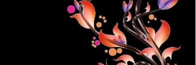 hajmutwally's profile banner image