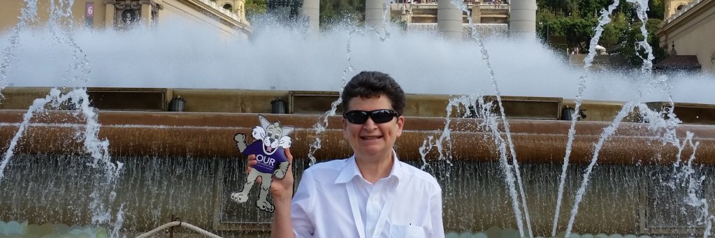 Mary Jo Ondrechen banner