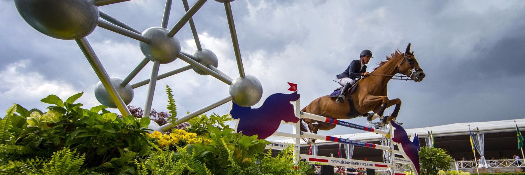 Stephex Masters banner