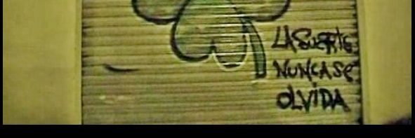 victor shaw banner
