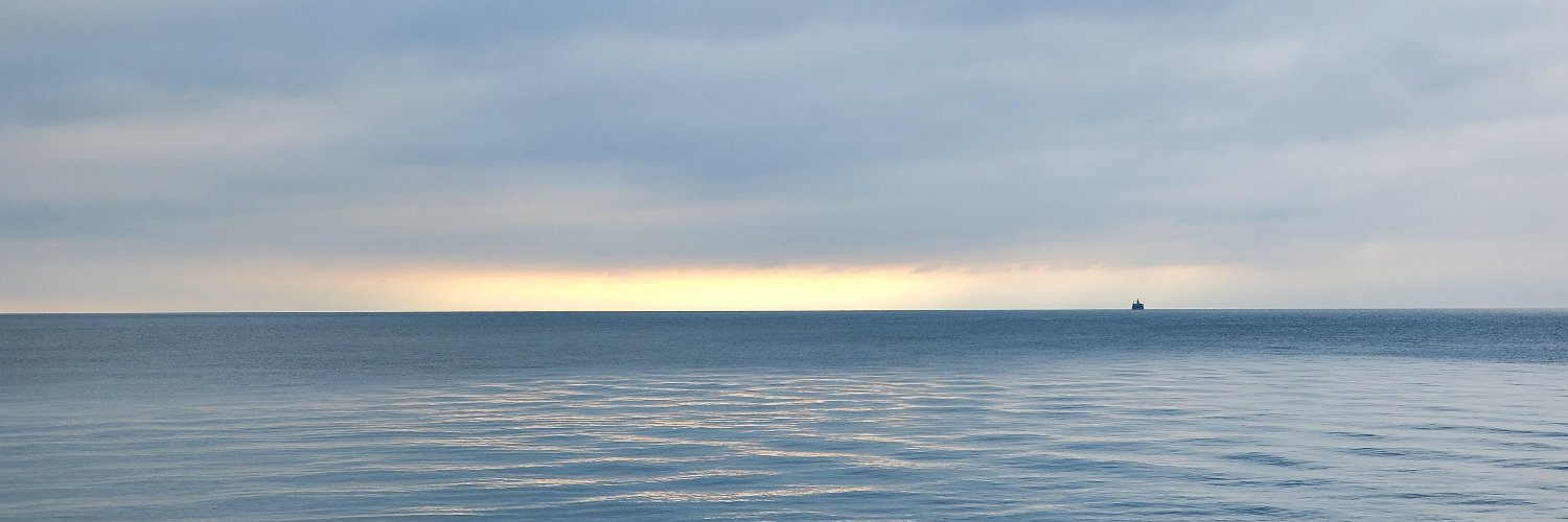 Lauri Alpern, PhD banner