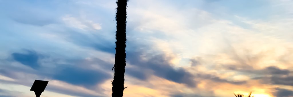 traslapasarela's profile banner image
