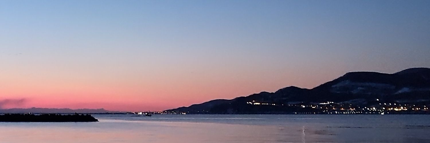 茶々丸@🎣好き banner