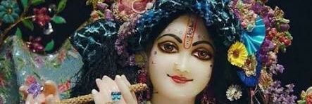 Vij11's profile banner image