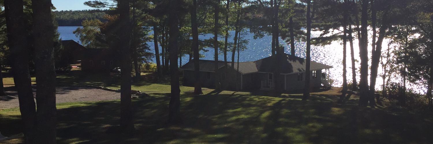 llkiley's profile banner image