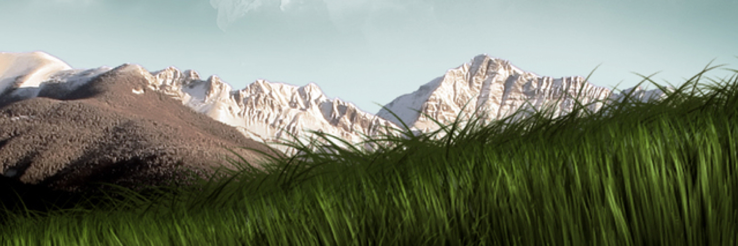 laspecas's profile banner image