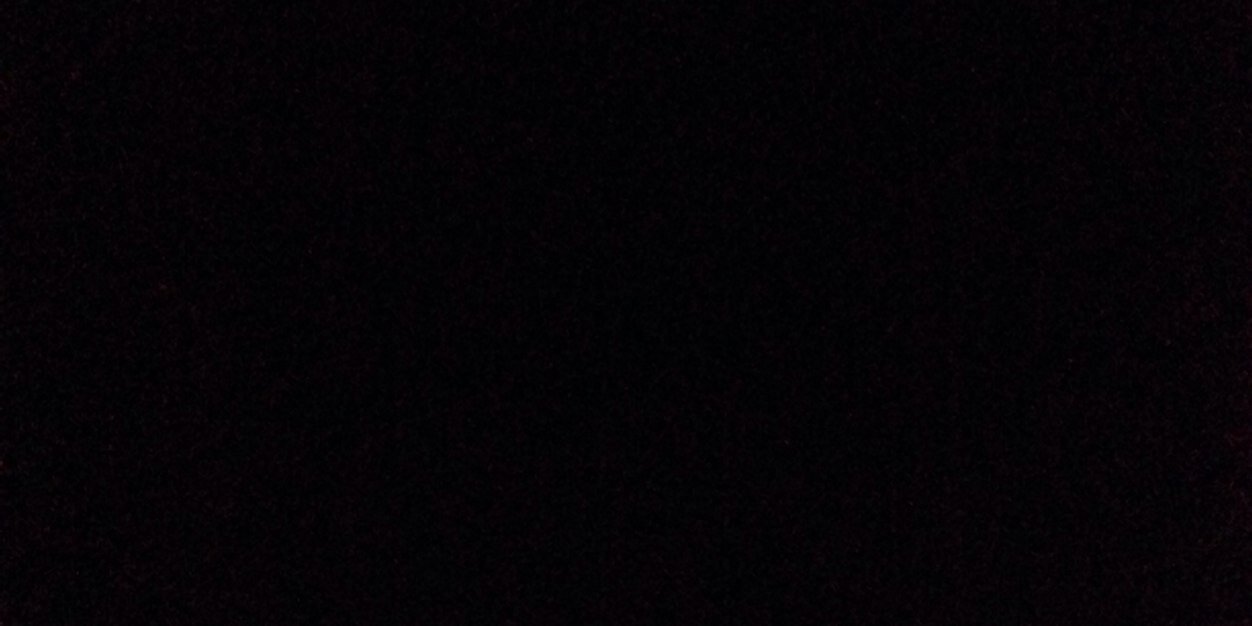 Paolo Bonolis banner