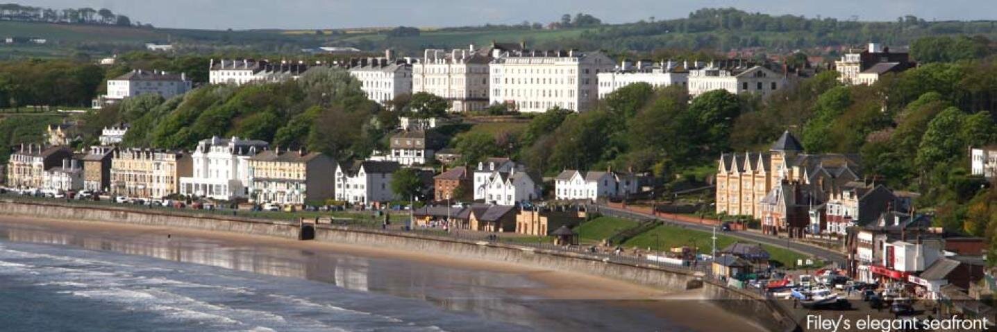 excitingfiley's profile banner image