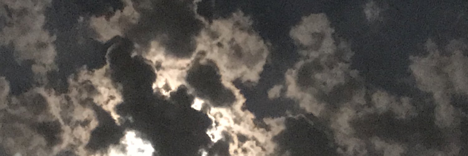 beatrize93's profile banner image