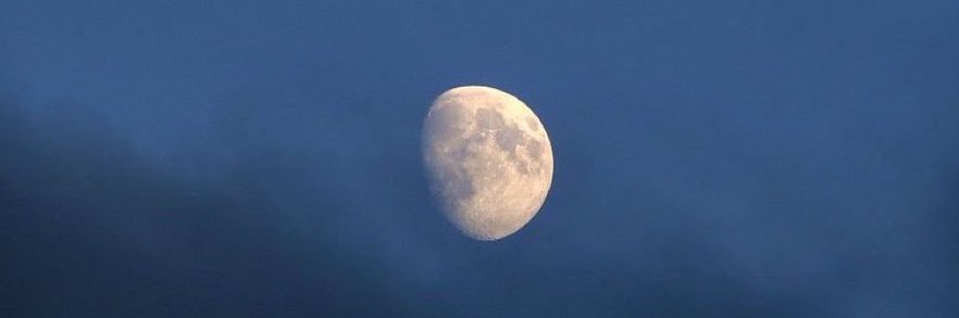 mdalfarsi's profile banner image