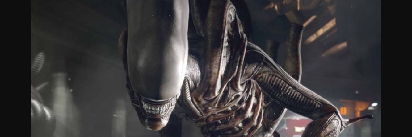 don_shrawder's profile banner image