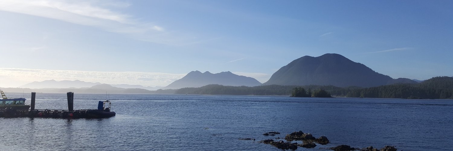 alisonsidney's profile banner image