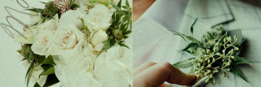 CannaBride's profile banner image