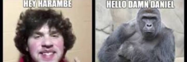 lol banner