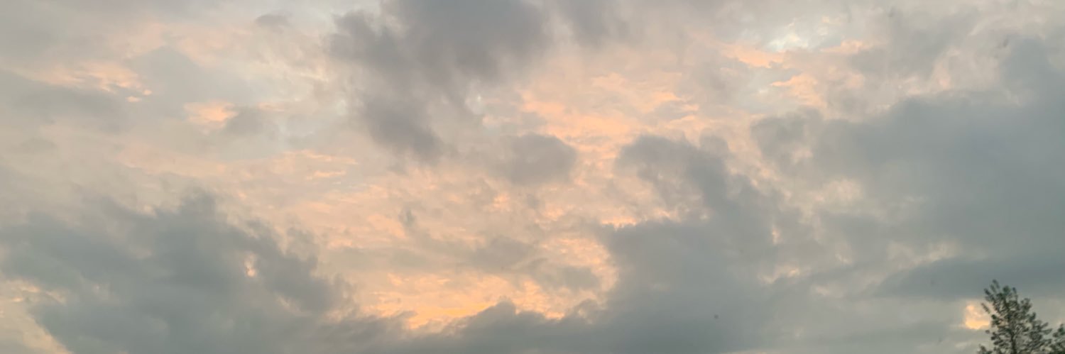 MacyreneeeM's profile banner image